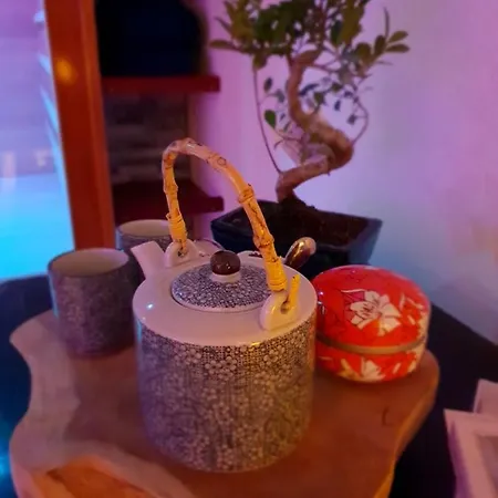 Jacuzzi Sauna Privatif Illimite *