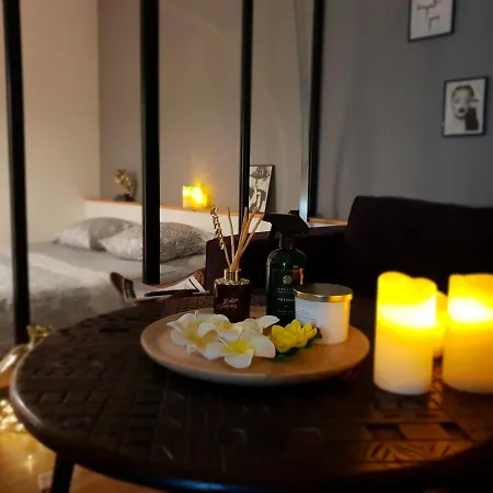 Daire Spa, Bien-etre, Jacuzzi, Sauna, Fauteuil Massant *