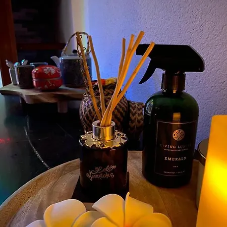 Jacuzzi Sauna Privatif Illimite Клиссон