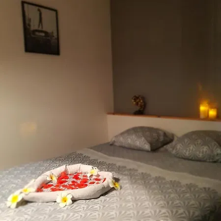 Daire Jacuzzi Sauna Privatif Illimite *