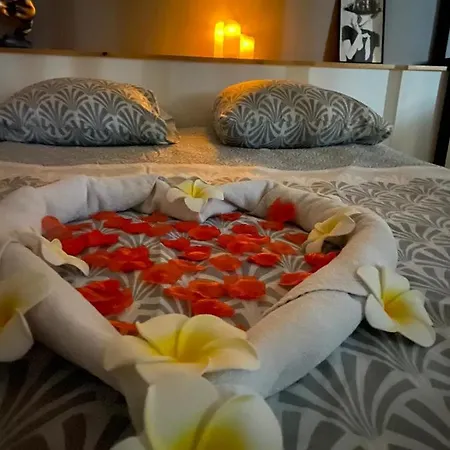 Jacuzzi Sauna Privatif Illimite *