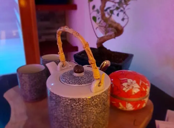 Jacuzzi Sauna Privatif Illimite *