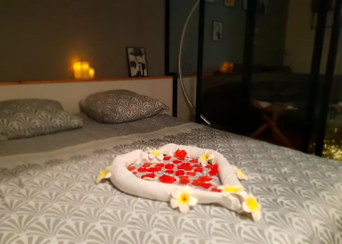 公寓 Jacuzzi Sauna Privatif Illimite 克利松