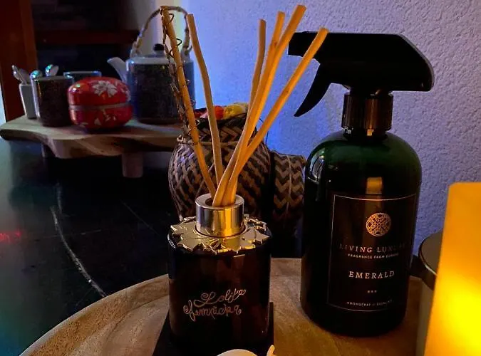 Jacuzzi Sauna Privatif Illimite 克利松