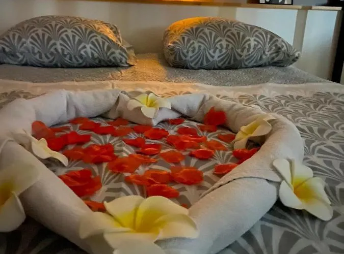 Jacuzzi Sauna Privatif Illimite *