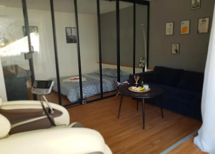 Jacuzzi Sauna Privatif Illimite 公寓 克利松