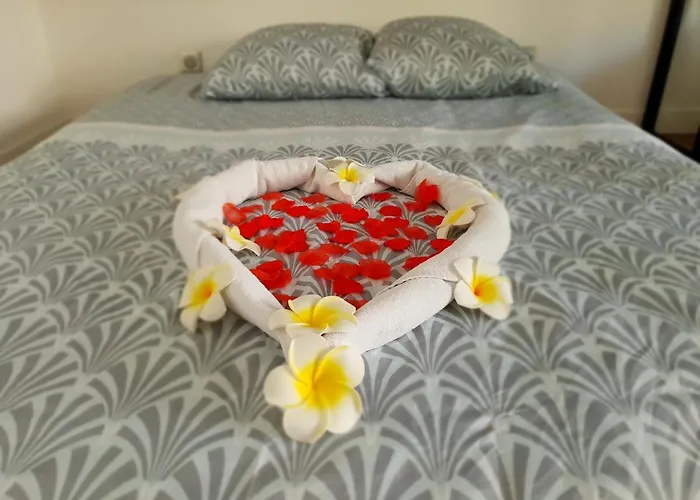 Jacuzzi Sauna Privatif Illimite *